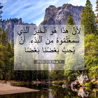 Picture 07 - ١ يوحنَّا 3:11 AVD - لِأَنَّ هَذَا هُوَ - Bible Verse Picture