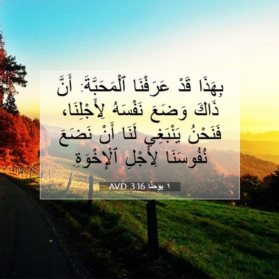 Picture 07 - ١ يوحنَّا 3:16 AVD - بِهَذَا قَدْ عَرَفْنَا - Bible Verse Picture