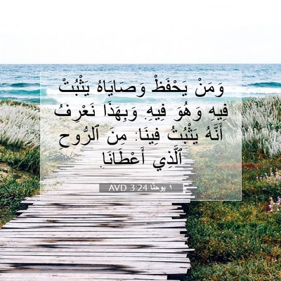 Picture 07 - ١ يوحنَّا 3:24 AVD - وَمَنْ يَحْفَظْ - Bible Verse Picture