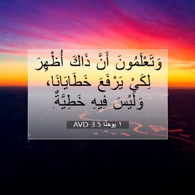 Picture 07 - ١ يوحنَّا 3:5 AVD - وَتَعْلَمُونَ أَنَّ ذَاكَ - Bible Verse Picture