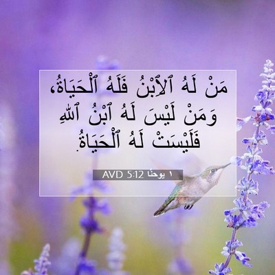Picture 07 - ١ يوحنَّا 5:12 AVD - مَنْ لَهُ ٱلِٱبْنُ فَلَهُ - Bible Verse Picture