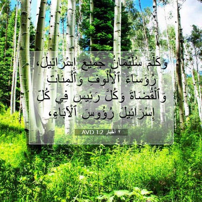 Picture 07 - ٢ أخبار 1:2 AVD - وَكَلَّمَ سُلَيْمَانُ - Bible Verse Picture