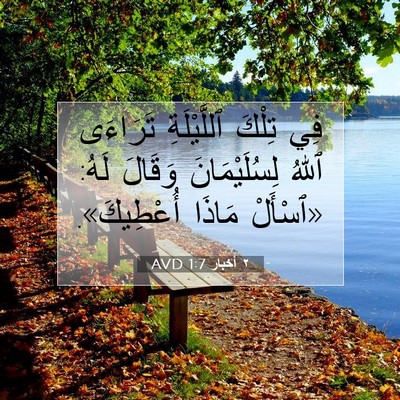 Picture 07 - ٢ أخبار 1:7 AVD - فِي تِلْكَ ٱللَّيْلَةِ - Bible Verse Picture