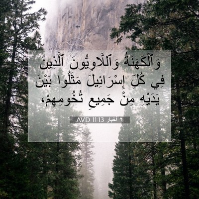 Picture 07 - ٢ أخبار 11:13 AVD - وَٱلْكَهَنَةُ - Bible Verse Picture