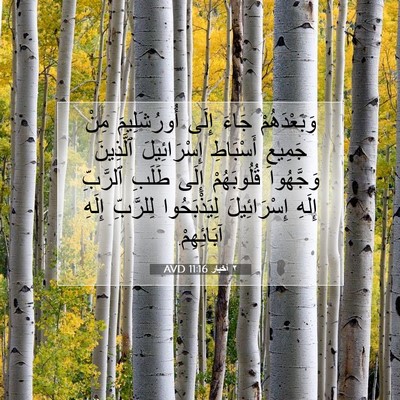 Picture 07 - ٢ أخبار 11:16 AVD - وَبَعْدَهُمْ جَاءَ إِلَى - Bible Verse Picture