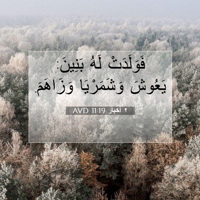 Picture 07 - ٢ أخبار 11:19 AVD - فَوَلَدَتْ لَهُ بَنِينَ: - Bible Verse Picture