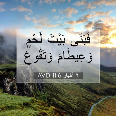 Picture 07 - ٢ أخبار 11:6 AVD - فَبَنَى بَيْتَ لَحْمٍ - Bible Verse Picture