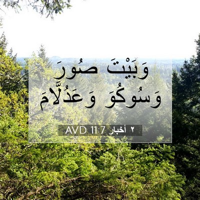 Picture 07 - ٢ أخبار 11:7 AVD - وَبَيْتَ صُورَ وَسُوكُوَ - Bible Verse Picture