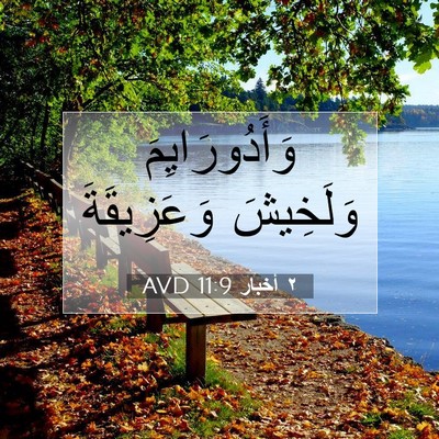 Picture 07 - ٢ أخبار 11:9 AVD - وَأَدُورَايِمَ وَلَخِيشَ - Bible Verse Picture