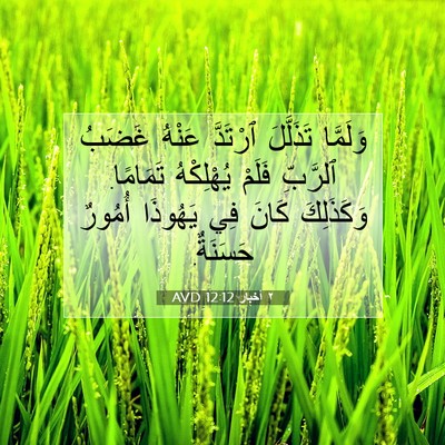 Picture 07 - ٢ أخبار 12:12 AVD - وَلَمَّا تَذَلَّلَ - Bible Verse Picture