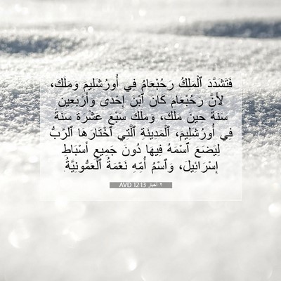 Picture 07 - ٢ أخبار 12:13 AVD - فَتَشَدَّدَ ٱلْمَلِكُ - Bible Verse Picture