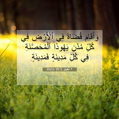 Picture 07 - ٢ أخبار 19:5 AVD - وَأَقَامَ قُضَاةً فِي - Bible Verse Picture