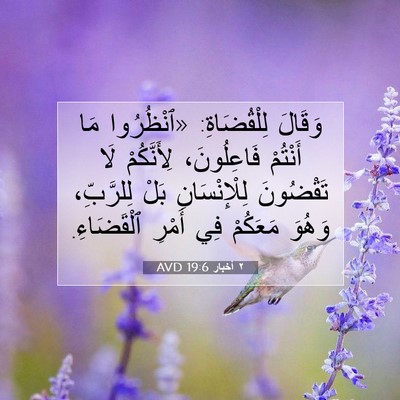 Picture 07 - ٢ أخبار 19:6 AVD - وَقَالَ لِلْقُضَاةِ: - Bible Verse Picture