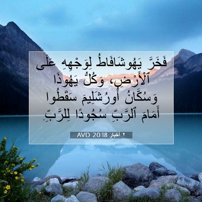 Picture 07 - ٢ أخبار 20:18 AVD - فَخَرَّ يَهُوشَافَاطُ - Bible Verse Picture
