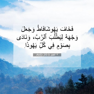 Picture 07 - ٢ أخبار 20:3 AVD - فَخَافَ يَهُوشَافَاطُ - Bible Verse Picture