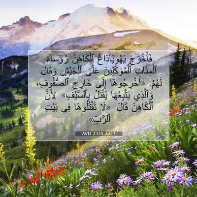 Picture 07 - ٢ أخبار 23:14 AVD - فَأَخْرَجَ يَهُويَادَاعُ - Bible Verse Picture