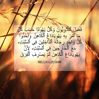 Picture 07 - ٢ أخبار 23:8 AVD - فَعَمِلَ ٱللَّاوِيُّونَ - Bible Verse Picture