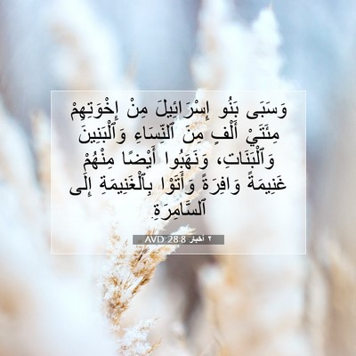 Picture 07 - ٢ أخبار 28:8 AVD - وَسَبَى بَنُو - Bible Verse Picture