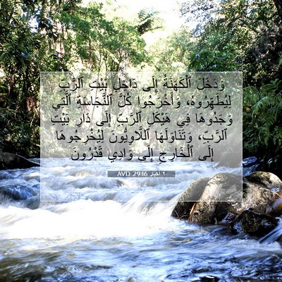 Picture 07 - ٢ أخبار 29:16 AVD - وَدَخَلَ ٱلْكَهَنَةُ - Bible Verse Picture