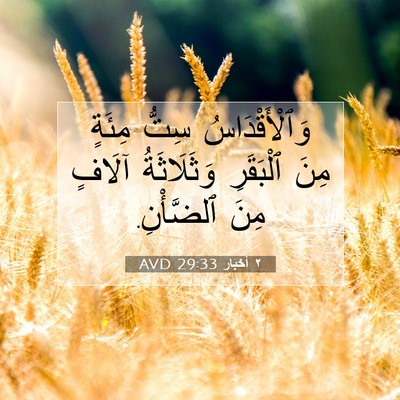 Picture 07 - ٢ أخبار 29:33 AVD - وَٱلْأَقْدَاسُ سِتُّ - Bible Verse Picture
