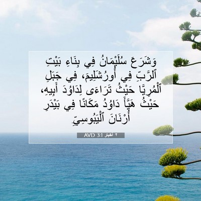 Picture 07 - ٢ أخبار 3:1 AVD - وَشَرَعَ سُلَيْمَانُ فِي - Bible Verse Picture