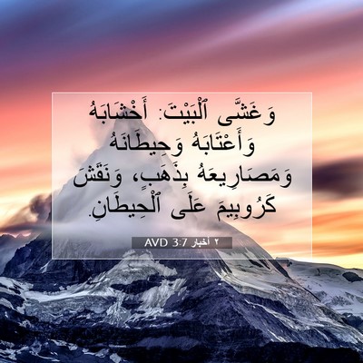 Picture 07 - ٢ أخبار 3:7 AVD - وَغَشَّى ٱلْبَيْتَ: - Bible Verse Picture