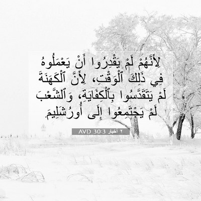 Picture 07 - ٢ أخبار 30:3 AVD - لِأَنَّهُمْ لَمْ - Bible Verse Picture