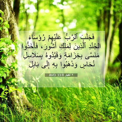 Picture 07 - ٢ أخبار 33:11 AVD - فَجَلَبَ ٱلرَّبُّ - Bible Verse Picture