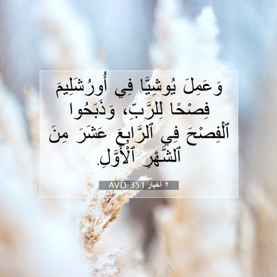 Picture 07 - ٢ أخبار 35:1 AVD - وَعَمِلَ يُوشِيَّا فِي - Bible Verse Picture