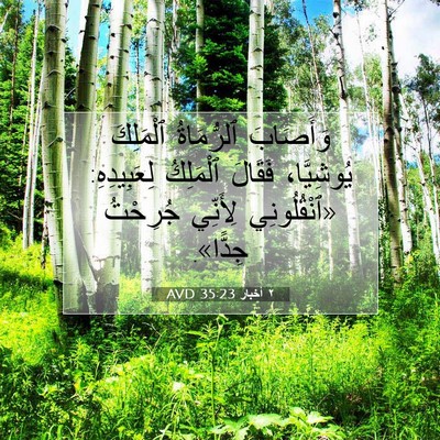 Picture 07 - ٢ أخبار 35:23 AVD - وَأَصَابَ ٱلرُّمَاةُ - Bible Verse Picture
