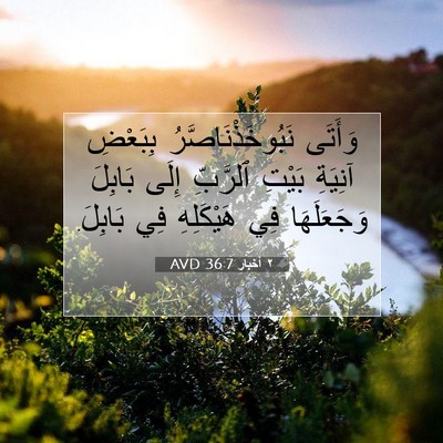 Picture 07 - ٢ أخبار 36:7 AVD - وَأَتَى نَبُوخَذْنَاصَّرُ - Bible Verse Picture