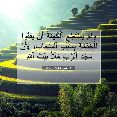Picture 07 - ٢ أخبار 5:14 AVD - وَلَمْ يَسْتَطِعِ - Bible Verse Picture