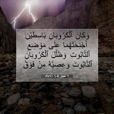 Picture 07 - ٢ أخبار 5:8 AVD - وَكَانَ ٱلْكَرُوبَانِ - Bible Verse Picture