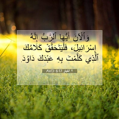 Picture 07 - ٢ أخبار 6:17 AVD - وَٱلْآنَ أَيُّهَا - Bible Verse Picture