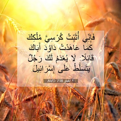 Picture 07 - ٢ أخبار 7:18 AVD - فَإِنِّي أُثَبِّتُ - Bible Verse Picture