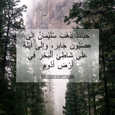 Picture 07 - ٢ أخبار 8:17 AVD - حِينَئِذٍ ذَهَبَ - Bible Verse Picture