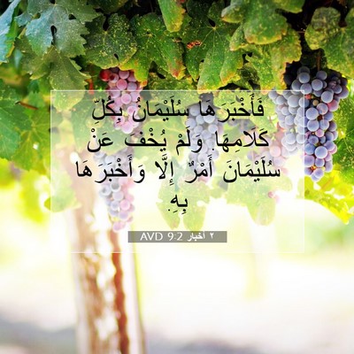 Picture 07 - ٢ أخبار 9:2 AVD - فَأَخْبَرَهَا سُلَيْمَانُ - Bible Verse Picture