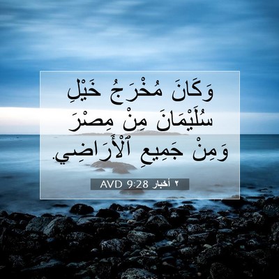 Picture 07 - ٢ أخبار 9:28 AVD - وَكَانَ مُخْرَجُ خَيْلِ - Bible Verse Picture