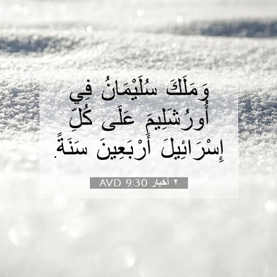 Picture 07 - ٢ أخبار 9:30 AVD - وَمَلَكَ سُلَيْمَانُ فِي - Bible Verse Picture