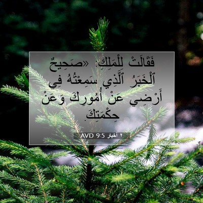 Picture 07 - ٢ أخبار 9:5 AVD - فَقَالَتْ لِلْمَلِكِ: - Bible Verse Picture