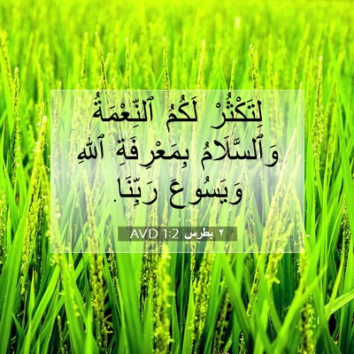 Picture 07 - ٢ بطرس 1:2 AVD - لِتَكْثُرْ لَكُمُ - Bible Verse Picture