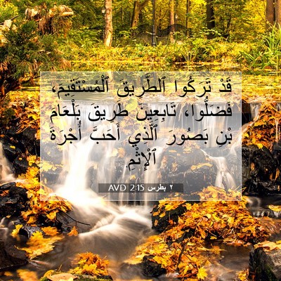 Picture 07 - ٢ بطرس 2:15 AVD - قَدْ تَرَكُوا ٱلطَّرِيقَ - Bible Verse Picture