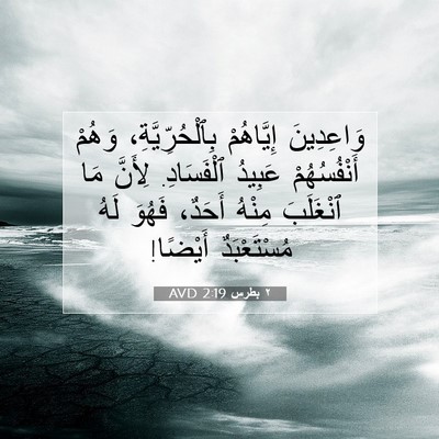 Picture 07 - ٢ بطرس 2:19 AVD - وَاعِدِينَ إِيَّاهُمْ - Bible Verse Picture