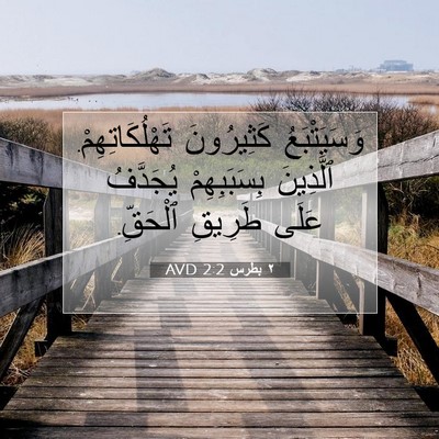 Picture 07 - ٢ بطرس 2:2 AVD - وَسَيَتْبَعُ كَثِيرُونَ - Bible Verse Picture