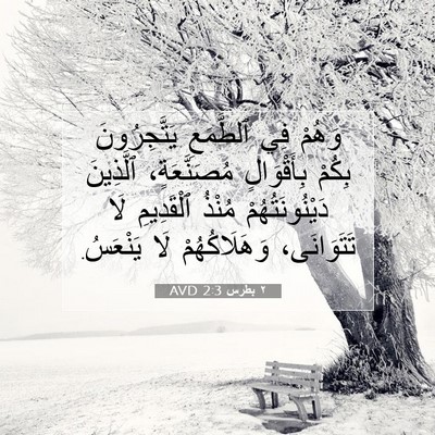 Picture 07 - ٢ بطرس 2:3 AVD - وَهُمْ فِي ٱلطَّمَعِ - Bible Verse Picture