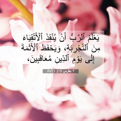 Picture 07 - ٢ بطرس 2:9 AVD - يَعْلَمُ ٱلرَّبُّ أَنْ - Bible Verse Picture