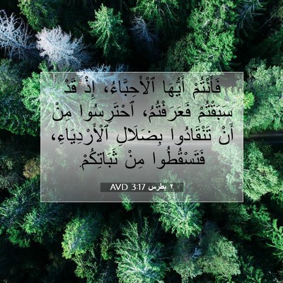 Picture 07 - ٢ بطرس 3:17 AVD - فَأَنْتُمْ أَيُّهَا - Bible Verse Picture