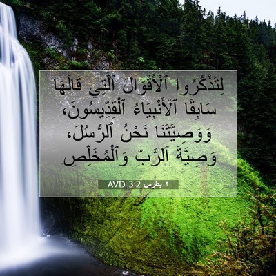 Picture 07 - ٢ بطرس 3:2 AVD - لِتَذْكُرُوا ٱلْأَقْوَالَ - Bible Verse Picture
