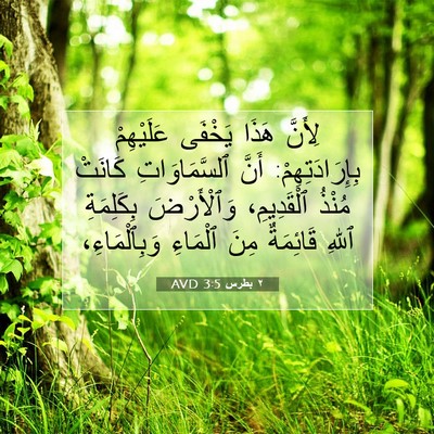 Picture 07 - ٢ بطرس 3:5 AVD - لِأَنَّ هَذَا يَخْفَى - Bible Verse Picture