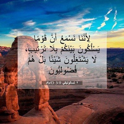 Picture 07 - ٢ تسالونيكي 3:11 AVD - لِأَنَّنَا نَسْمَعُ أَنَّ - Bible Verse Picture
